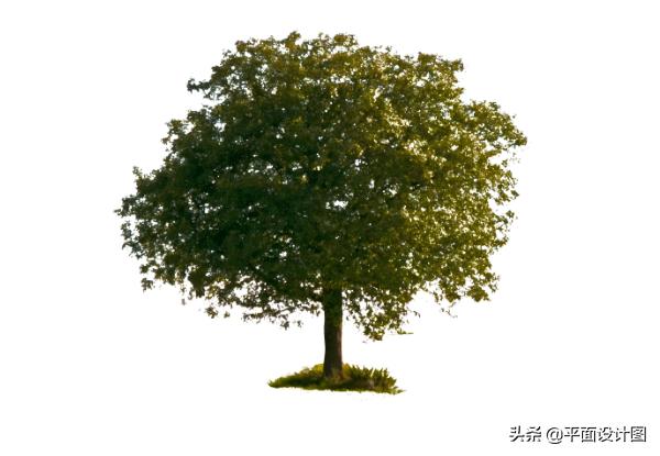 入门也要学的蒙版三大技巧,蒙版详细教程photoshop