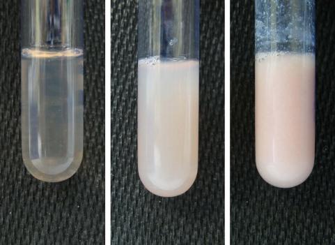 宠物肥胖症怎么治疗,宠物肥胖带来的健康问题