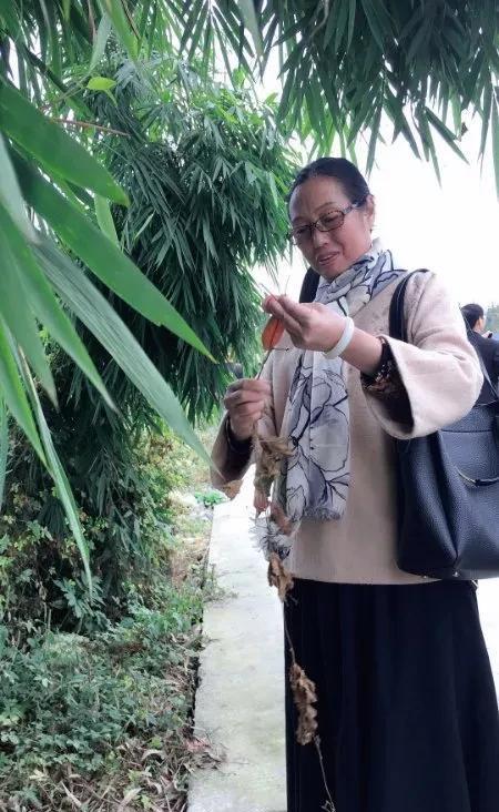 閮芥睙鍫版鑺卞矝,鍨傞挀閮芥睙鍫版鑺卞矝