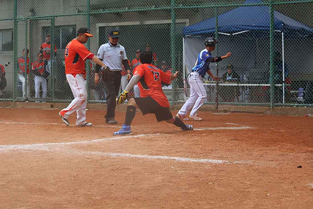 2020年“熊猫杯”中国慢垒企业联赛华东分区赛落幕