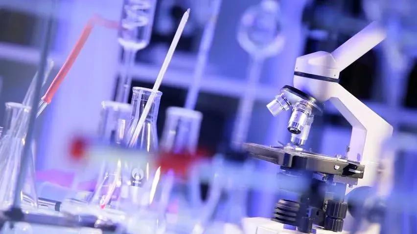 如果你2021年做Amazon，为什么不选择这么好的类目呢？