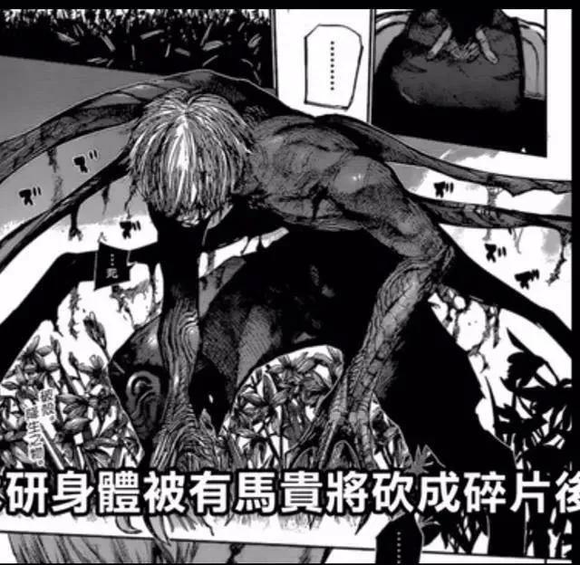 东京喰种金木研利世,东京喰种金木研13