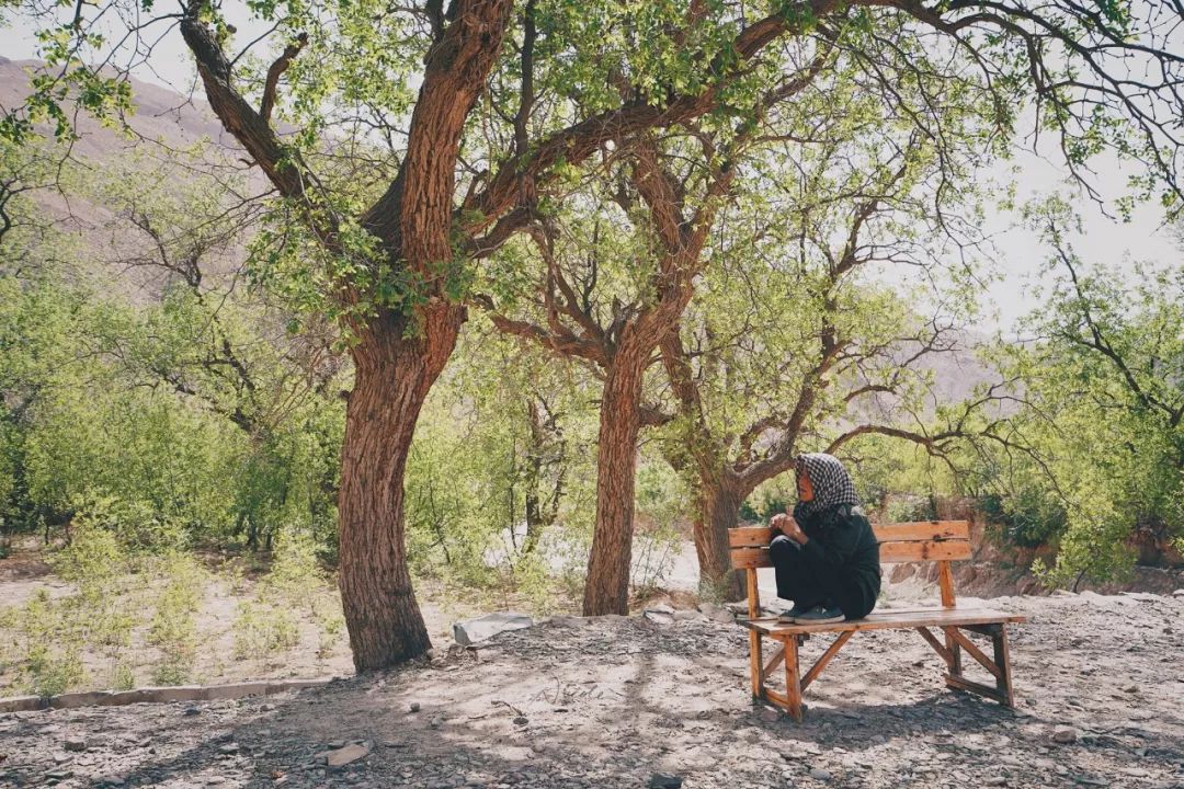 可盐可甜是哪首歌的歌词,可盐可甜出自哪