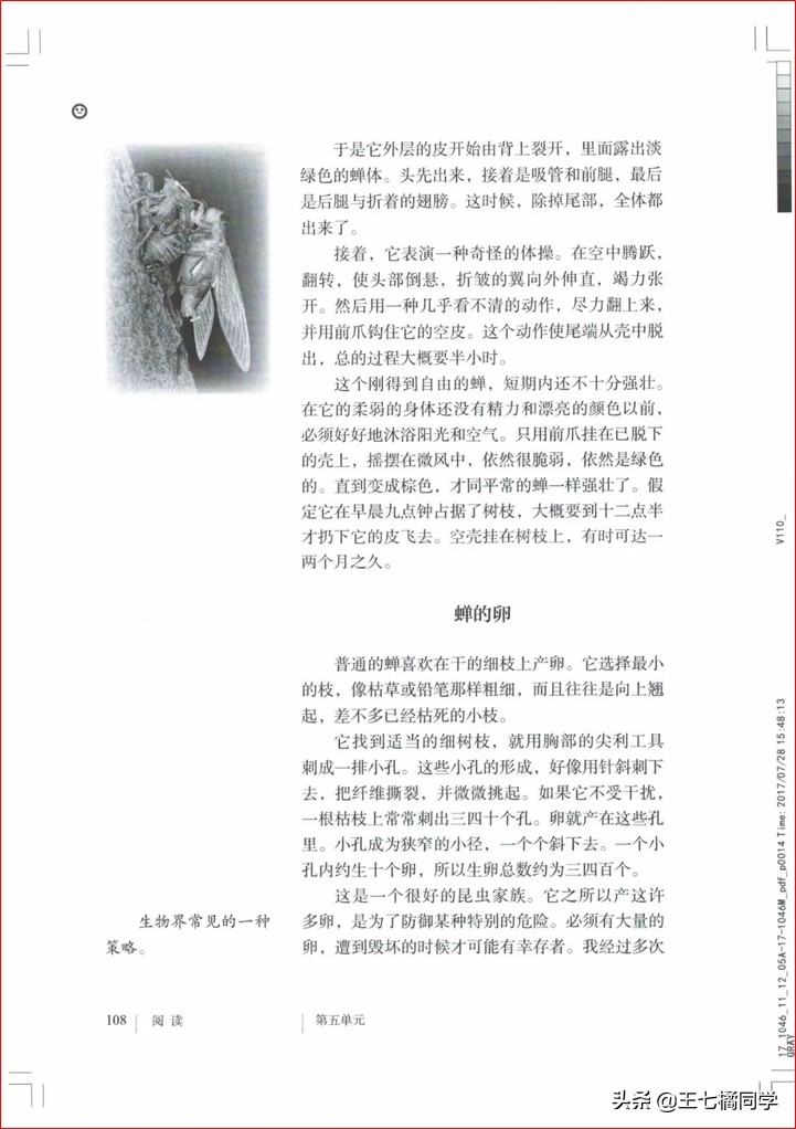 部编人教版八年级语文上册电子课本（家教必备电子教材）