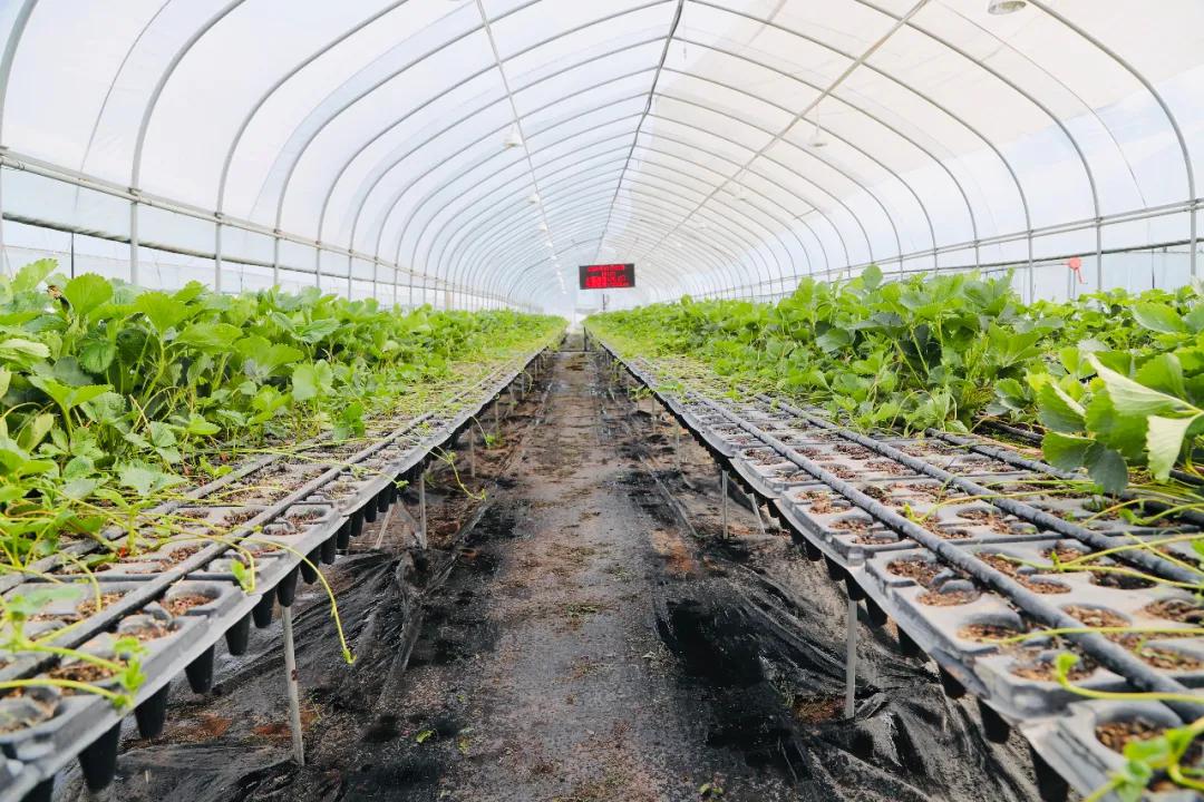 沁源官滩最新规划,沁源乡村振兴产业发展项目