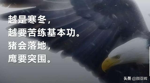 让人快速去了解你,让人主动联系你的方法