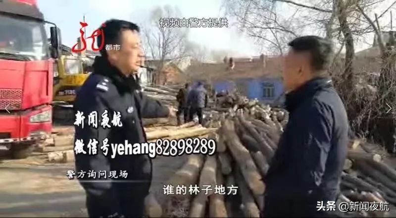 派出所现场查获一起盗伐林木案件,公安破获一起盗伐林木案件