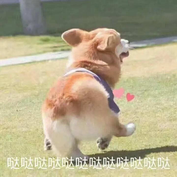 在别的城市上大学真的好吗,去哪个城市上大学最舒服