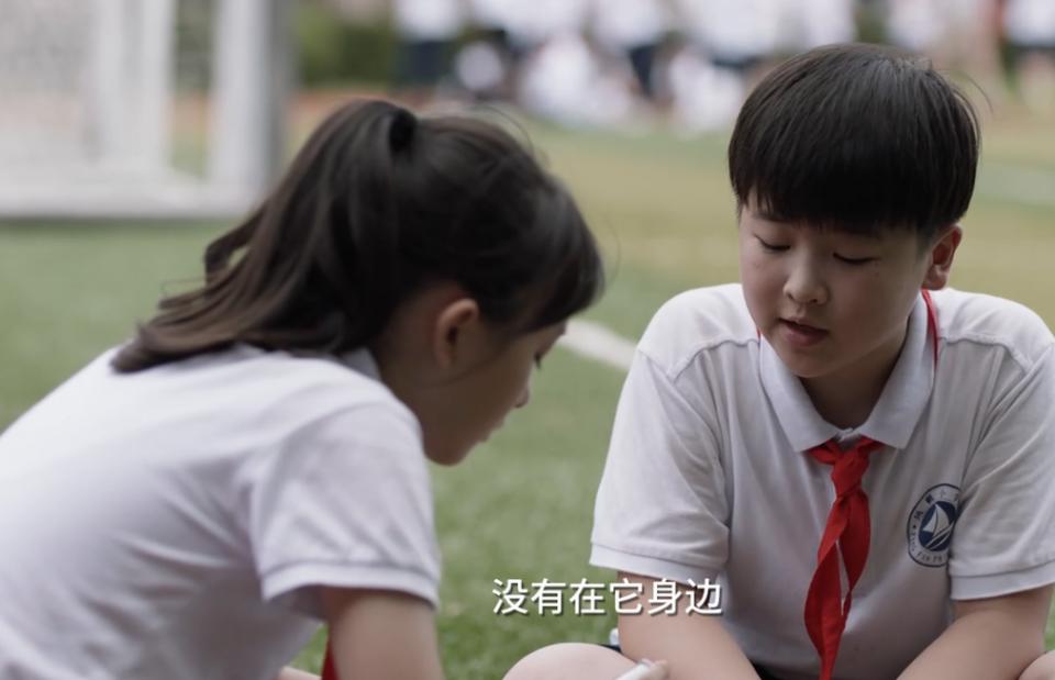 小舍得大结局欢欢走丢,小舍得欢欢颜子悠精神崩溃后续