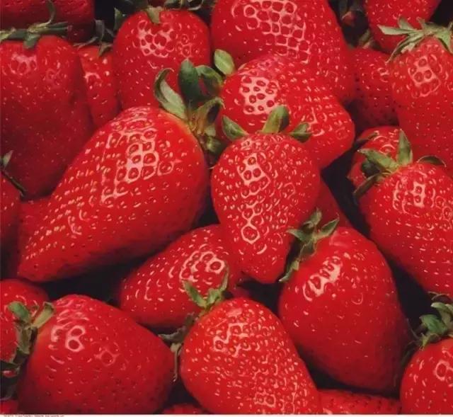 100种水果简笔画图片大全大图,儿童简笔画入门水果0-3岁