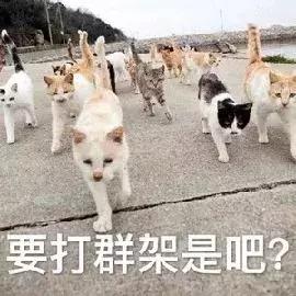 *处私**痒痒痒，「洗洗」能止痒？你还要被骗多久