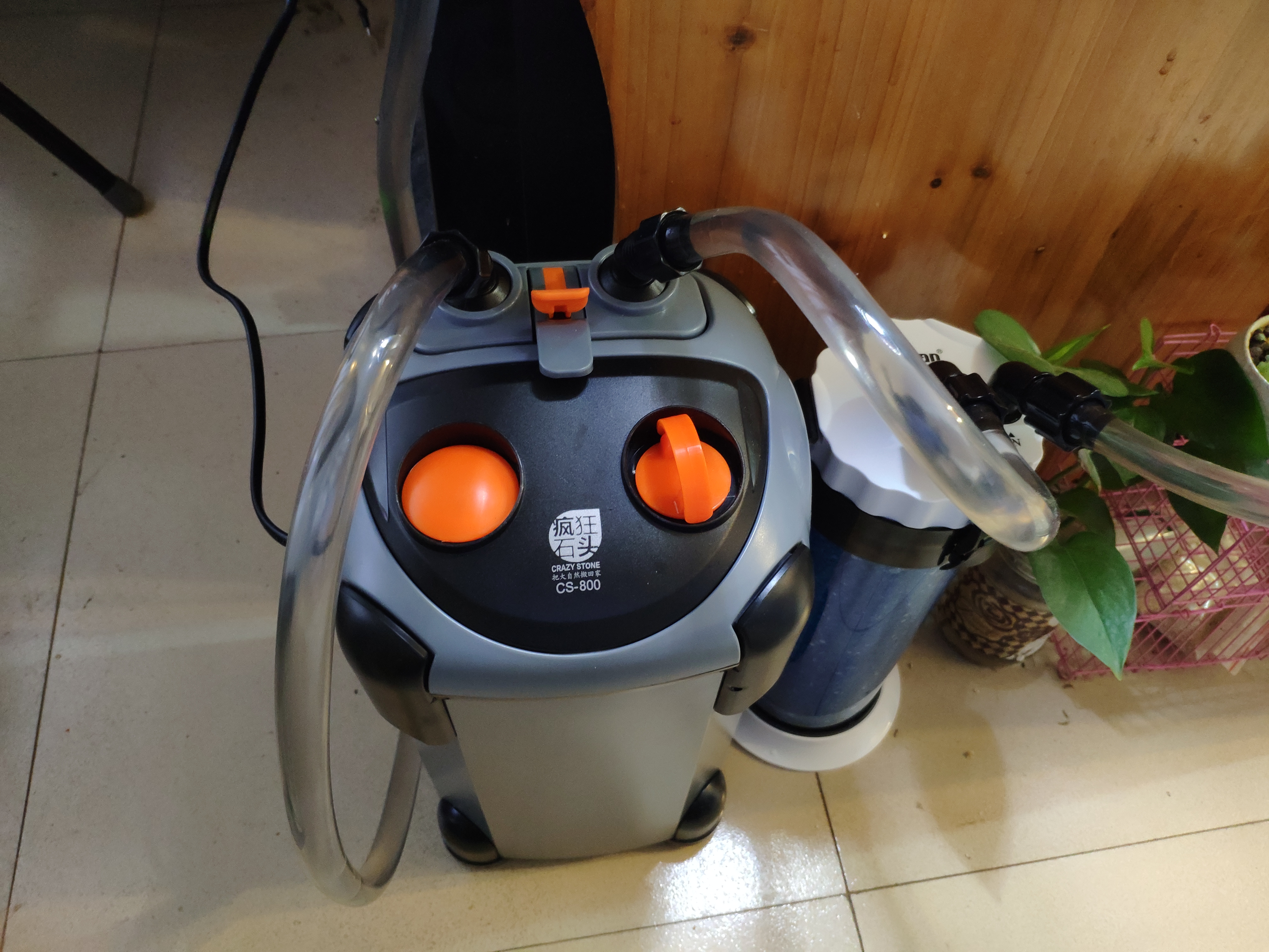 入坑养鱼花销,入坑草缸后的作品