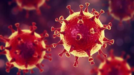 地球最厉害的病毒是什么,世界上有哪些病毒能被灭绝