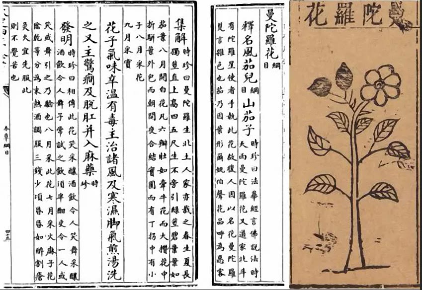 能麻翻人的*汗蒙**药，居然还会让人得精神病