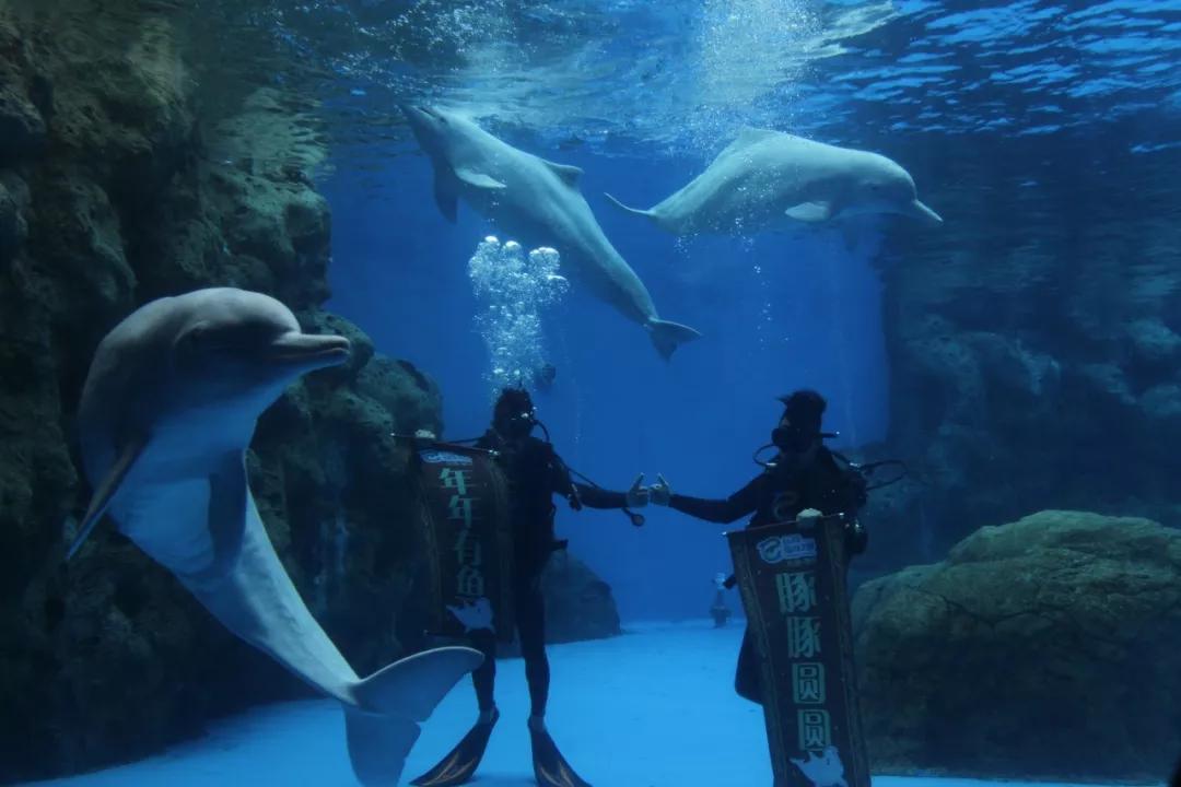 不远的旅游景点推荐,不远不贵不累8个国内亲子游