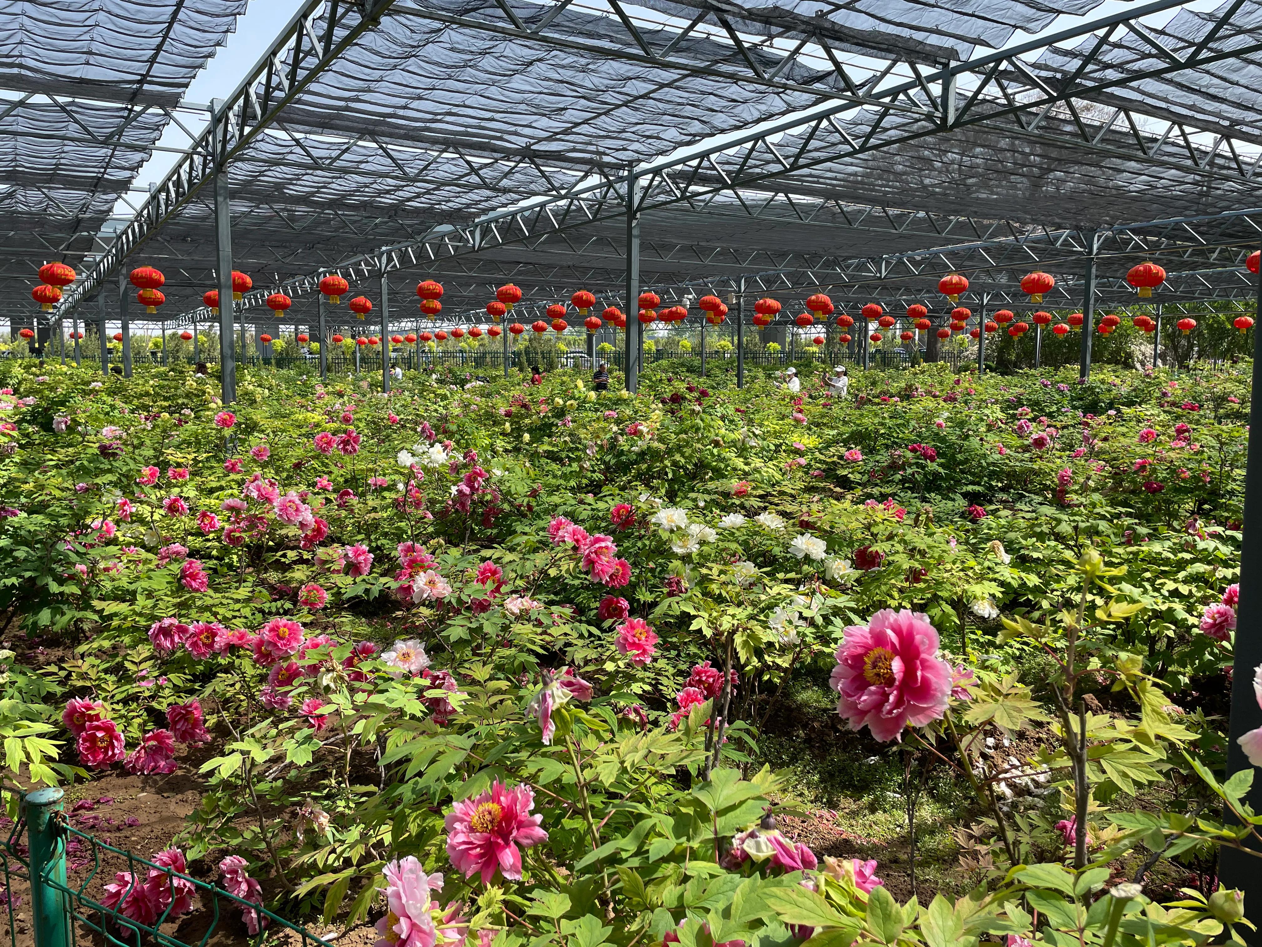 记录50岁的快乐之旅,30岁之前的生日之旅