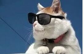 学会看股市图,学会看俄文