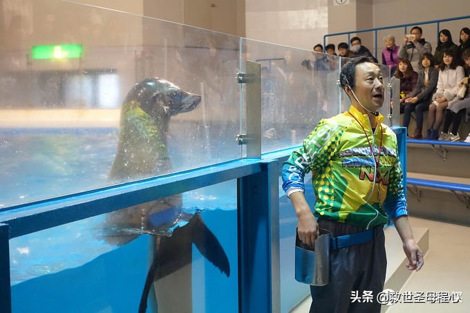 日本自由行出境旅游,去日本旅游要流水账单