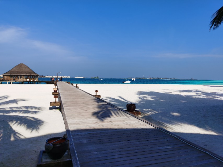 马累市区周边浮潜,马累本岛浮潜