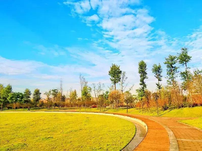 双流夜景必打卡之地,成都双流免费打卡景点