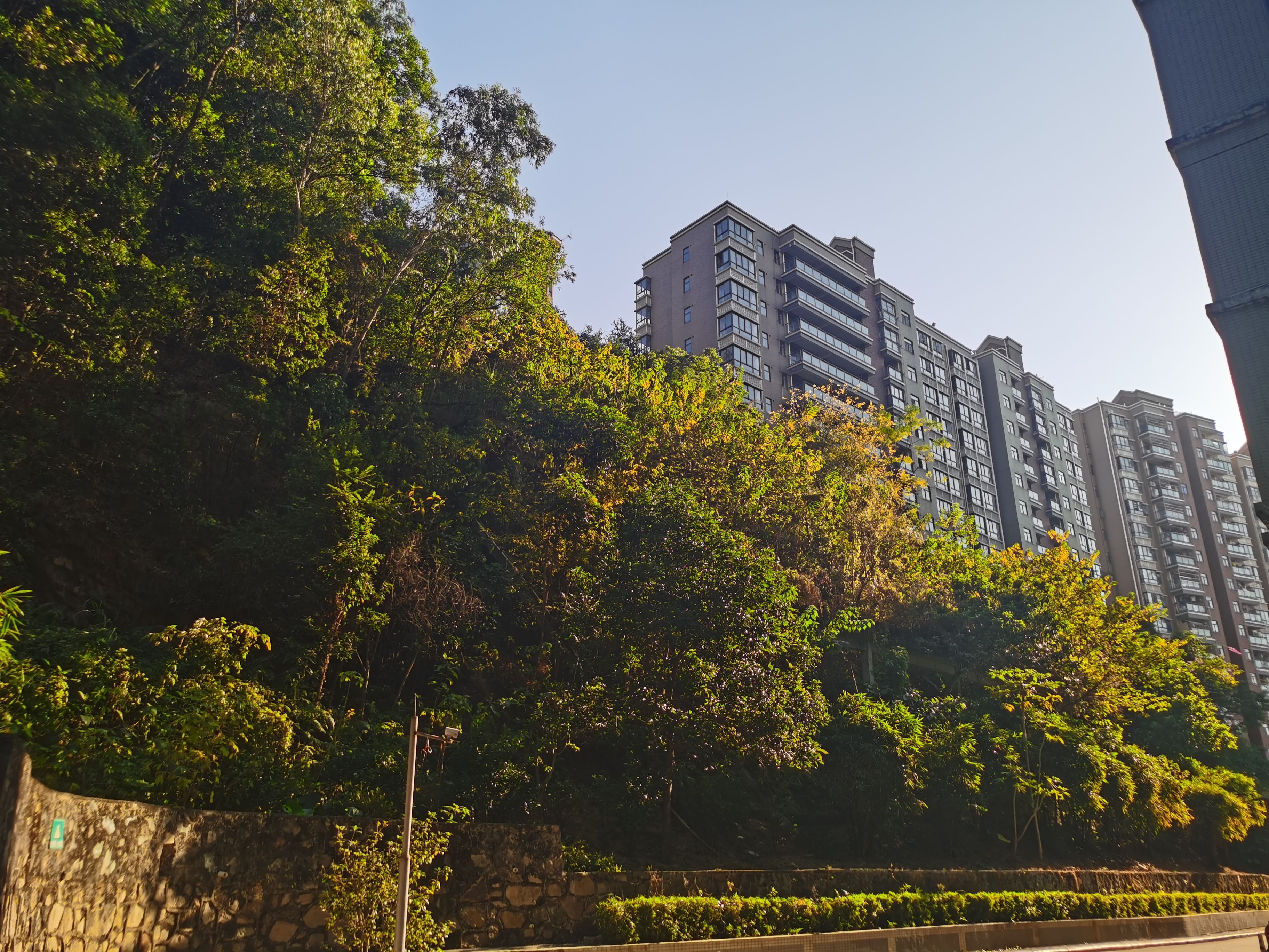 华为nova65g版和荣耀v30区别,华为nova65g版对比荣耀v30pro