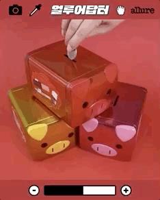 猪年限定款有哪些品牌,猪年限定哪款最值得购买