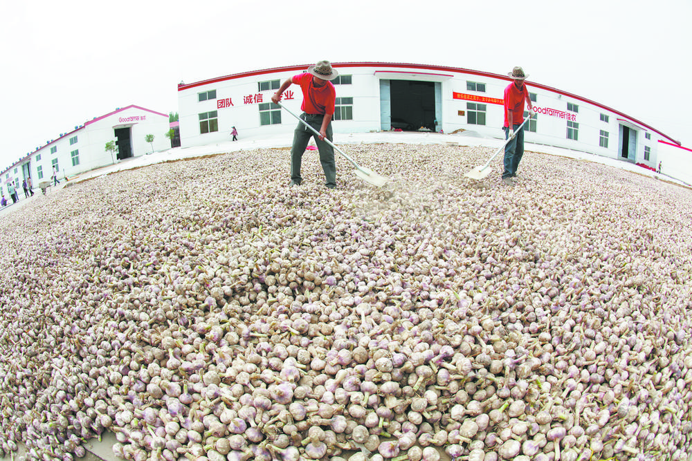 巨野麒麟之乡图片,巨野麒麟之乡