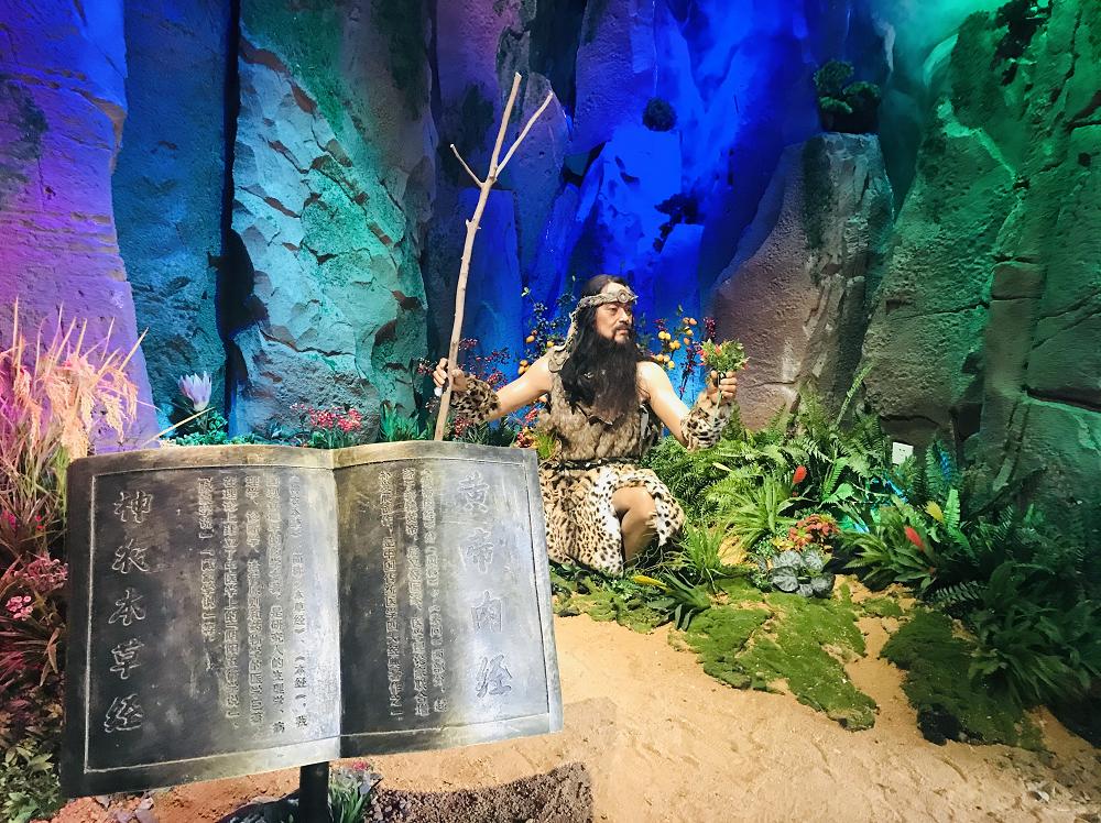 斗门十大旅游景点,斗门有哪些旅游景点值得去