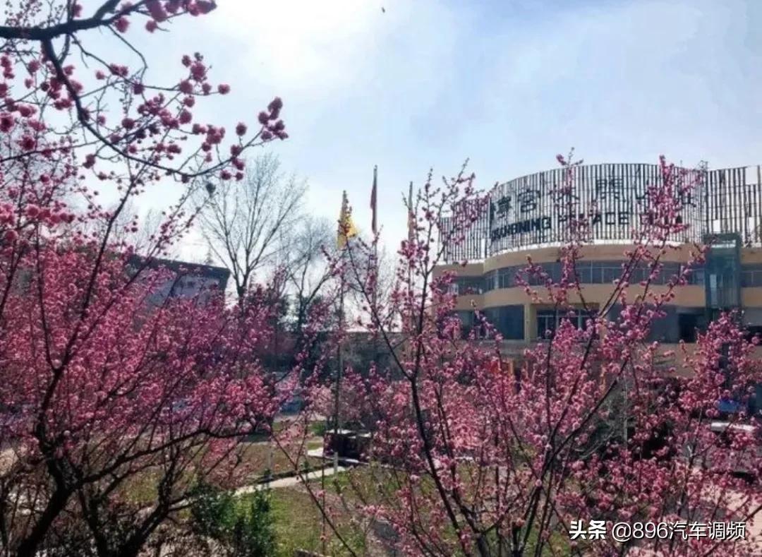 西安新增旅游景点最新消息,西安免费景区开放的最新通告