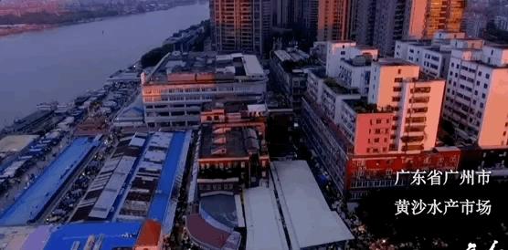 有钱人的世界真的不能想象,有钱人的世界真的难以想象