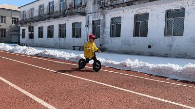 什么样的滑步车好 (无踏板滑步车怎么骑)