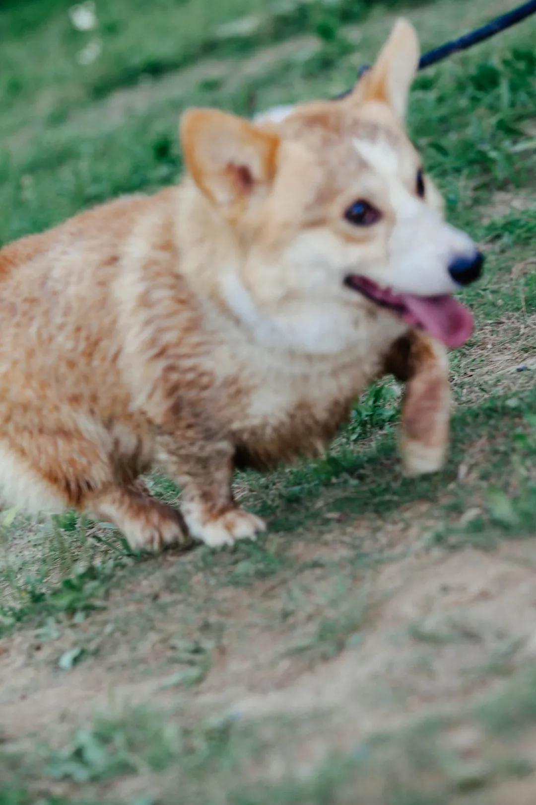 杭州百景｜龙坞，茶，太阳，酒，音乐