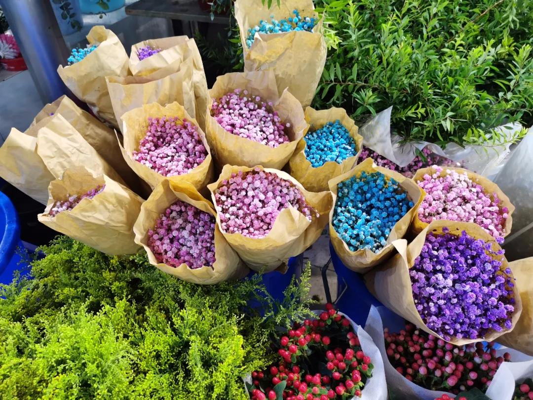 5月岭南花卉市场,红星花卉市场七夕