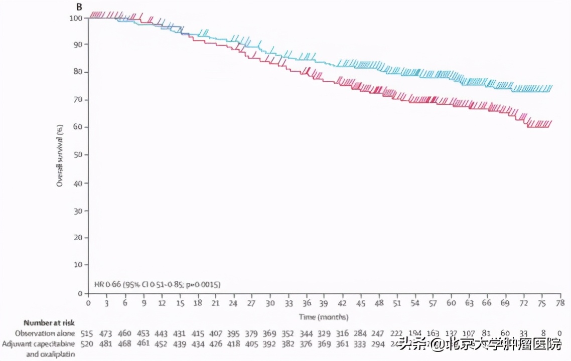 关注癌症治疗,胃癌治疗新突破
