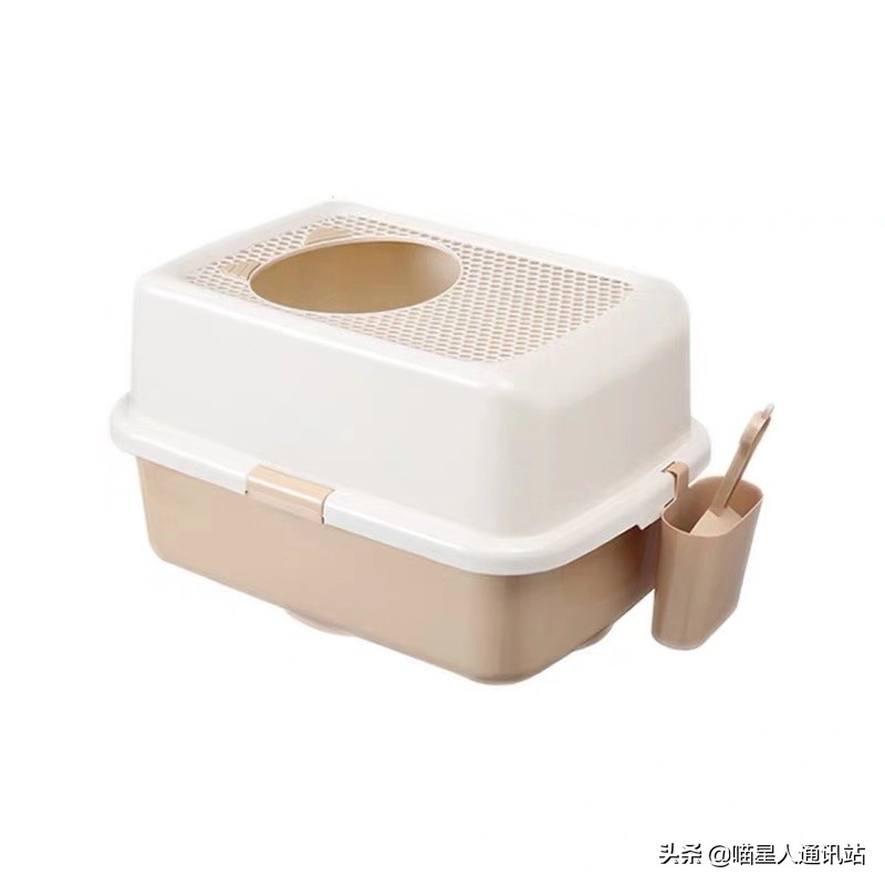 花销盘点｜养一只猫一年花的钱够买30根口红