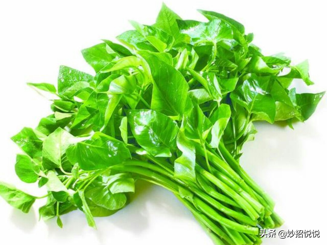 蔬菜蔫了怎么能变新鲜,蔬菜蔫了怎么办