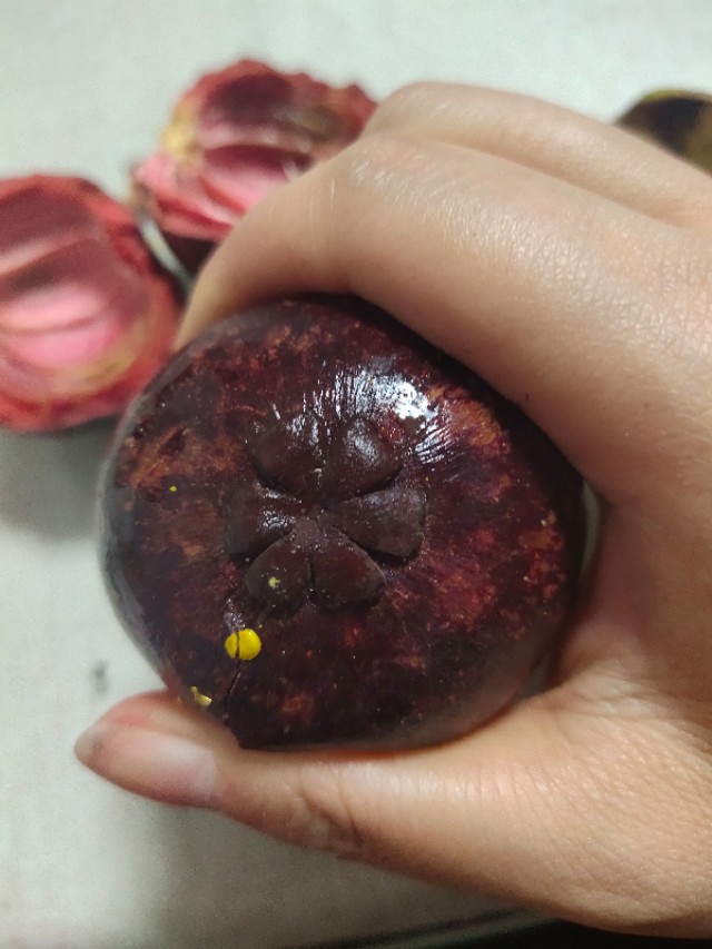 山竹挑选看三点,山竹怎么看才知道里面是好的