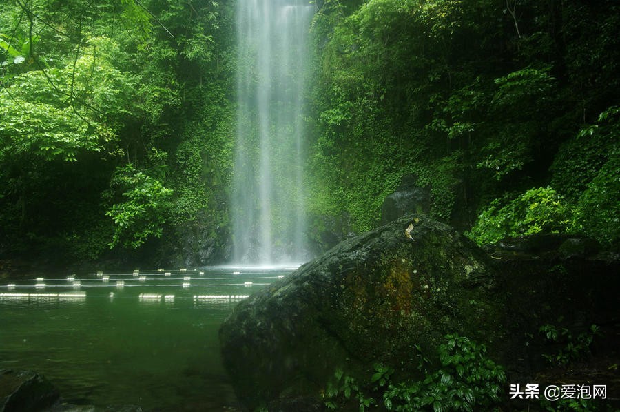 世界茉莉花之都广西横县,广西茉莉花美女
