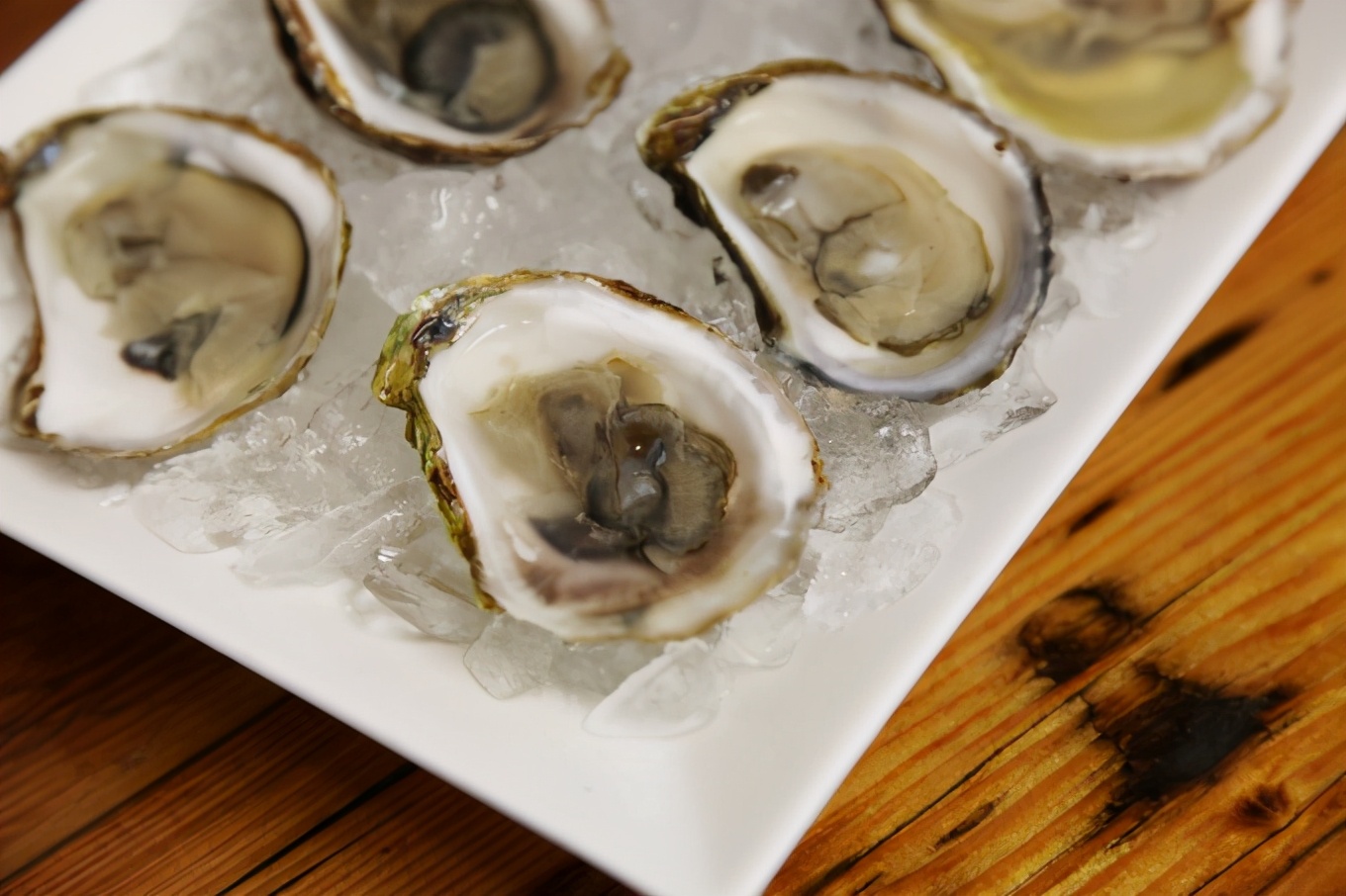 「怀念系列」加拿大（5）｜品尝奥巴马同款枫叶糖