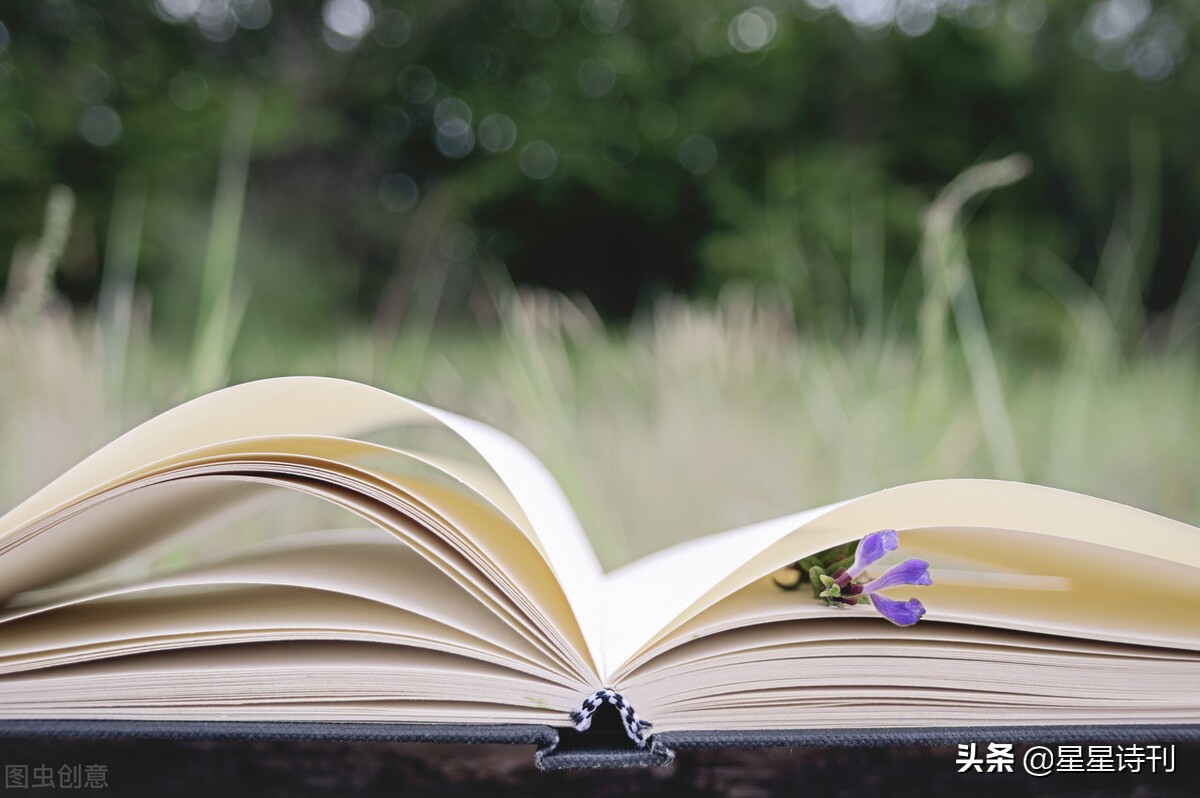 星星诗刊发表的诗歌,星星诗刊散文