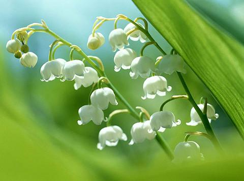 脾气直爽的人是什么样的,性格直爽和心机太重的区别