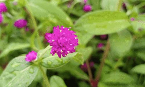 校园风自拍姿势大全,校园小清新自拍