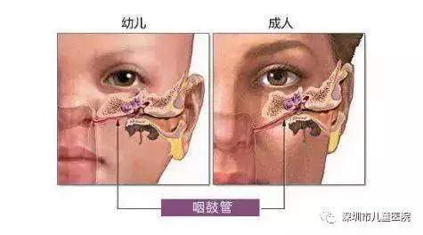 小孩子发烧后耳朵后面长大包,五岁男孩发烧后身上出现红疹子