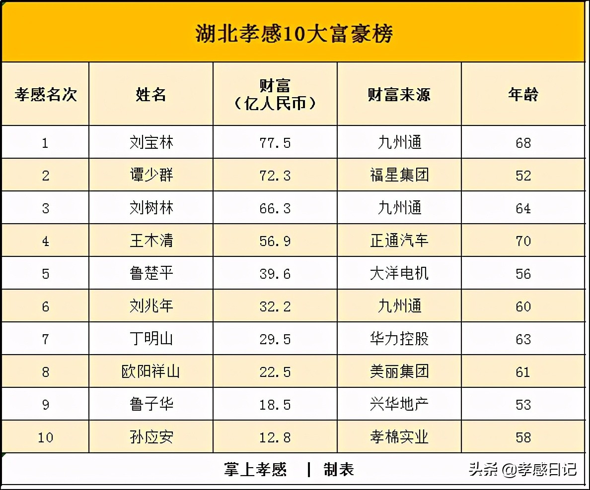 孝感最有钱的10个人,孝感十大有钱人