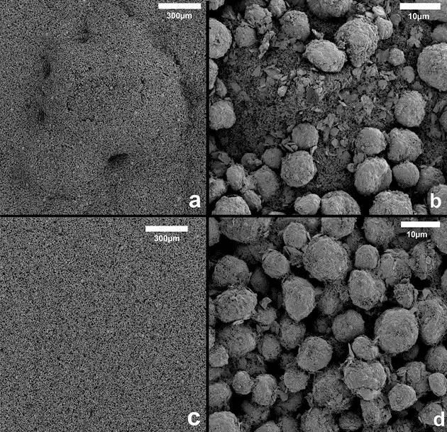 锂电池涂布过程注意事项,锂电池正负极涂布方式