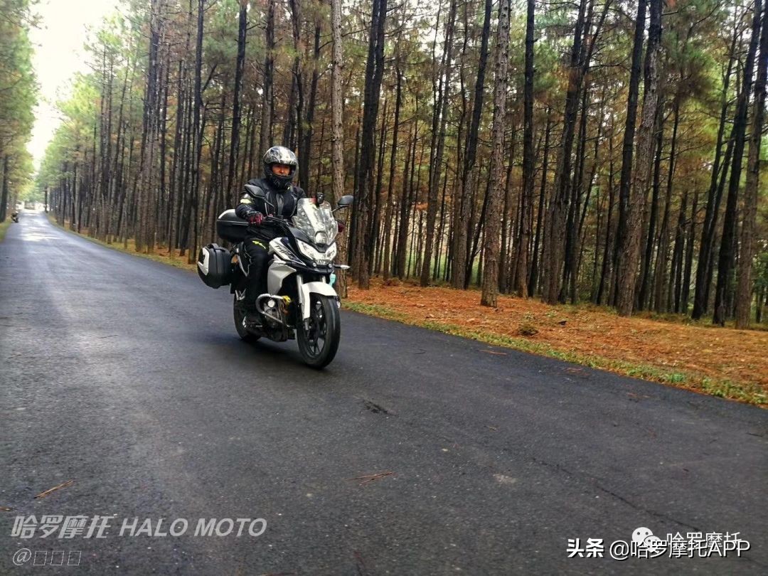 2020款战鹰190x国四版有几个版,本田战鹰190x和猛鸷图片对比