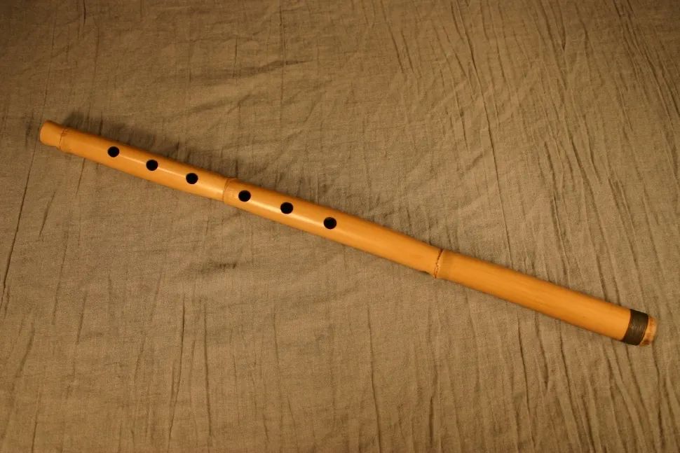 阿拉伯音乐旅行指南|旋律乐器(三)