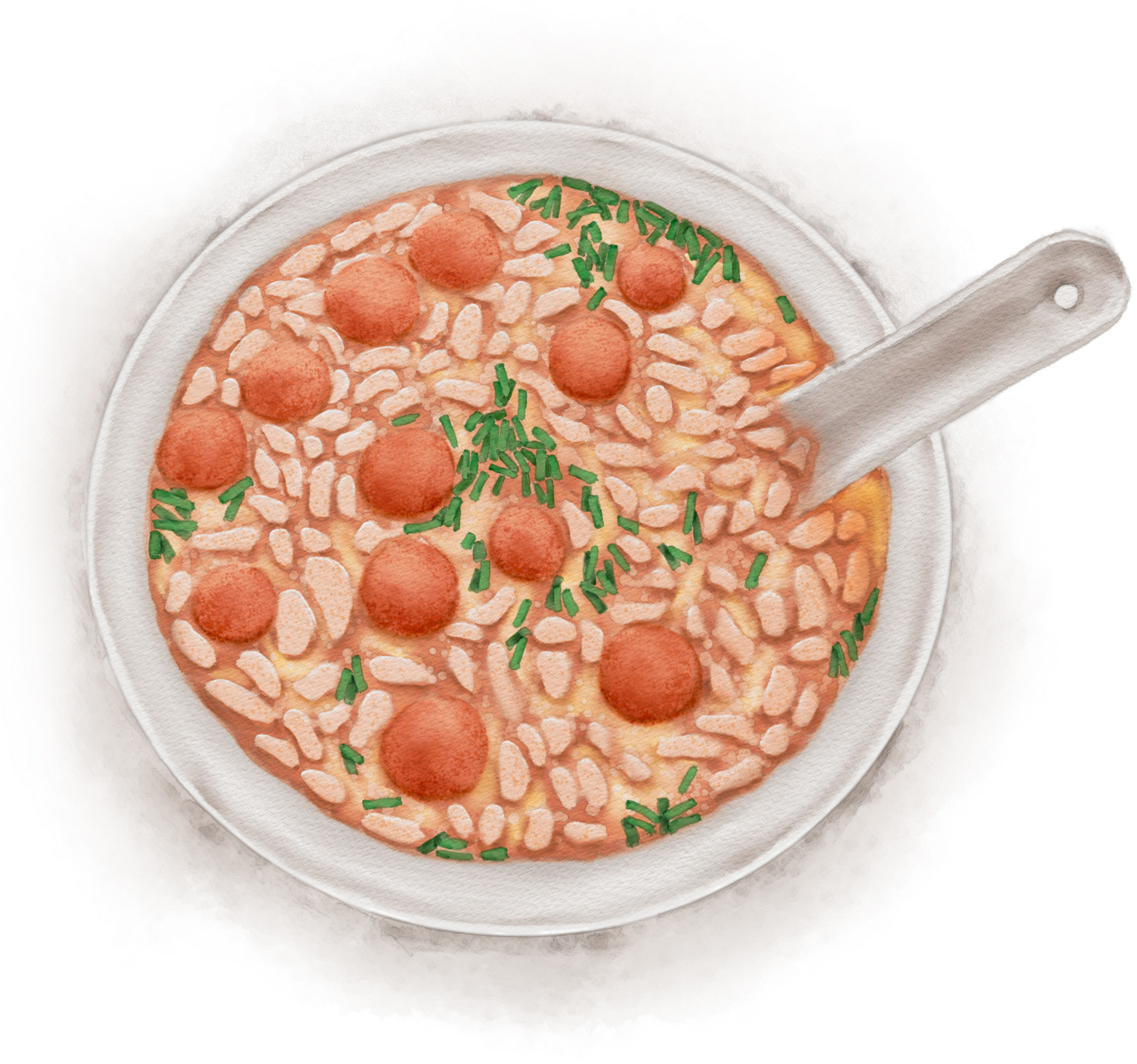 西桂林恭城县只有笔直的山茶树,因为弯曲的树干都被砍掉打油茶了