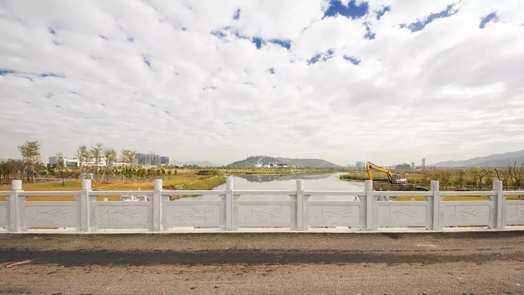 免费+湿地公园+花海栈道…珠澳市民新的休闲好去处