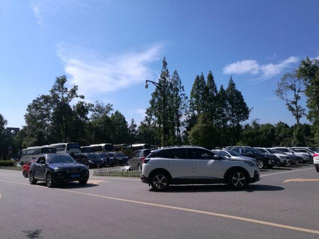 带着93岁老母亲旅行,抬着90多岁的老母亲上山旅游